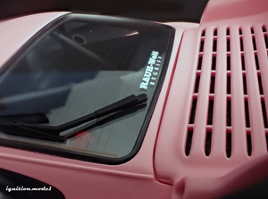 IG3624 RWB 993 Matte Pink --- PREORDER (delivery in Q4 2025)