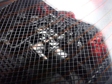 IG3907 HONDA NSX-R (NA2) White --- PREORDER (delivery in Q4 2026)